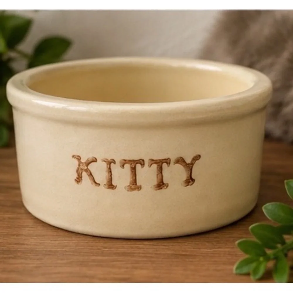 VTG Robinson Ransbottom Roseville Ohio Kitty Stoneware Pet Bowl Cream 5 INCH